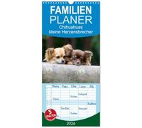 Familienplaner 2026 - Chihuahuas - kleine Herzensbrecher mit 5 Spalten (Wandkalender, 21 x 45 cm) CALVENDO: Wunderschöne Outdoor Fotos der kleinen Hunderasse