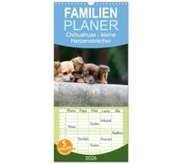 Familienplaner 2026 - Chihuahuas - kleine Herzensbrecher mit 5 Spalten (Wandkalender, 21 x 45 cm) CALVENDO: Wunderschöne Outdoor Fotos der kleinen Hunderasse