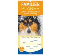 Familienplaner 2026 - Collies - Eine Liebe für immer und ewig mit 5 Spalten (Wandkalender, 21 x 45 cm) CALVENDO: 13 wundervolle Fotos der Fotografin ... von großen und kleinen bezaubernden Collies