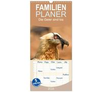 Familienplaner 2026 - Die Geier sind los mit 5 Spalten (Wandkalender, 21 x 45 cm) CALVENDO: Europas Geier in den wilden Pyrenäen