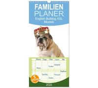 Familienplaner 2026 - English Bulldog XXL Models mit 5 Spalten (Wandkalender, 21 x 45 cm) CALVENDO: Starke Models in "High Fashion"!