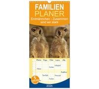 Familienplaner 2026 - Erdmännchen - Zusammen sind wir stark mit 5 Spalten (Wandkalender, 21 x 45 cm) CALVENDO: Bilder vom Erdmännchen-Alltag