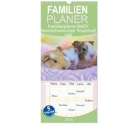 Familienplaner 2026 - Familienplaner BABY Meerschweinchen Traumhaft süß mit 5 Spalten (Wandkalender, 21 x 45 cm) CALVENDO: Süße Baby Meerschweinchen fotografiert in ihren ersten Tagen auf der Welt