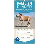 Familienplaner 2026 - Freunde auf vier Pfoten am Strand mit 5 Spalten (Wandkalender, 21 x 45 cm) CALVENDO: Hunde genießen ihre Abenteuer am Meer