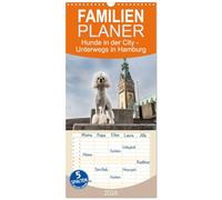 Familienplaner 2026 - Hunde in der City - Unterwegs in Hamburg mit 5 Spalten (Wandkalender, 21 x 45 cm) CALVENDO: Verschiedene Rassen präsentieren sich vor den Highlights der Hansestadt Hamburg.