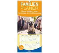 Familienplaner 2026 - Kleine Helden - eine Hommage an die Mopsrasse mit 5 Spalten (Wandkalender, 21 x 45 cm) CALVENDO: Berührende Augenblicke und ... Einblicke in das Leben dieser kleinen Helden.