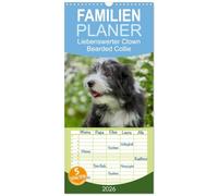 Familienplaner 2026 - Liebenswerter Clown Bearded Collie mit 5 Spalten (Wandkalender, 21 x 45 cm) CALVENDO: Der Clown unter den Britischen Hütehunden, ... auf 13 zauberhaften Bildern durch das Jahr