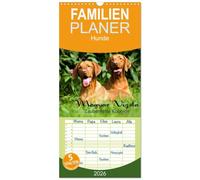 Familienplaner 2026 - Magyar Vizsla - Zauberhafte Kobolde mit 5 Spalten (Wandkalender, 21 x 45 cm) CALVENDO: Magyar Vizsla Zauberhafte Kobolde ein Kalender der besonderen Art dieser Rasse.