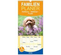Familienplaner 2026 - Maltipoo - Malteser -Pudel mit 5 Spalten (Wandkalender, 21 x 45 cm) CALVENDO: Drei Hunderassen, die sich großer Beliebtheit erfreuen