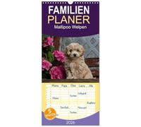 Familienplaner 2026 - Maltipoo Welpen mit 5 Spalten (Wandkalender, 21 x 45 cm) CALVENDO: Beim Maltipoo handelt es sich um eine Kreuzung zwischen Pudel und Malteser.