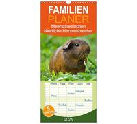 Familienplaner 2026 - Meerschweinchen Niedliche Herzensbrecher mit 5 Spalten (Wandkalender, 21 x 45 cm) CALVENDO: Putzige Nagetiere aus Südamerika