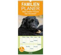 Familienplaner 2026 - Mein bester Freund - Der Hovawart mit 5 Spalten (Wandkalender, 21 x 45 cm) CALVENDO: Hovawarte von klein bis groß auf 13 bezaubernden Fotos