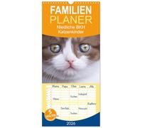 Familienplaner 2026 - Niedliche BKH Katzenkinder mit 5 Spalten (Wandkalender, 21 x 45 cm) CALVENDO: Dieser Kalender ist ein Muß für jeden Katzenfreund.
