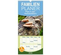 Familienplaner 2026 - Pilze in den Herbstwäldern mit 5 Spalten (Wandkalender, 21 x 45 cm) CALVENDO: Ein Überblick über die Pilze, die unsere Wälder füllen