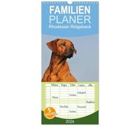 Familienplaner 2026 - Rhodesian Ridgeback 2026 mit 5 Spalten (Wandkalender, 21 x 45 cm) CALVENDO: Eine der beliebtesten Hunderassen, der Rhodesian Ridgeback auf 13 faszinierenden Fotos