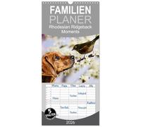 Familienplaner 2026 - Rhodesian Ridgeback - Moments mit 5 Spalten (Wandkalender, 21 x 45 cm) CALVENDO: Zauberhafte Momente