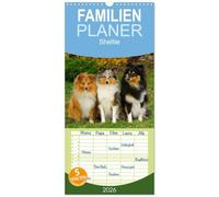 Familienplaner 2026 - Sheltie 2026 mit 5 Spalten (Wandkalender, 21 x 45 cm) CALVENDO: 13 wunderschöne Fotos von Shelties in allen Farben begleiten durch das Jahr
