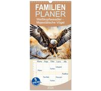 Familienplaner 2026 - Weißkopfseeadler - Majestätische Vögel mit 5 Spalten (Wandkalender, 21 x 45 cm) CALVENDO: Zauberhafte Aquarelle der Jäger der Lüfte