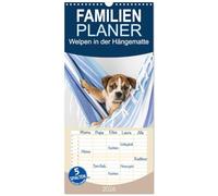 Familienplaner 2026 - Welpen in der Hängematte mit 5 Spalten (Wandkalender, 21 x 45 cm) CALVENDO: Drollige Old English Bulldog Welpen in einer Hängematte