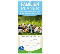 Familienplaner 2026 - Wuschelbande - Ein Jahr voller Meerschweinchen mit 5 Spalten (Wandkalender, 21 x 45 cm) CALVENDO: Der ultimative Meerschweinchen - Kalender! Hol ihn dir!