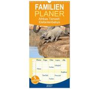 Familienplaner 2027 - Afrikas Tierwelt: Elefantenbabys mit 5 Spalten (Wandkalender, 21 x 45 cm) CALVENDO: Besondere Momente der kleinen grauen "Riesen"