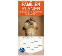 Familienplaner 2027 - Erdmännchen: Zusammen sind wir stark mit 5 Spalten (Wandkalender, 21 x 45 cm) CALVENDO: Bilder vom Erdmännchen-Alltag