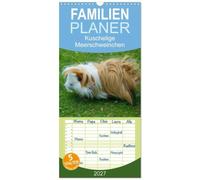 Familienplaner 2027 - Kuschelige Meerschweinchen mit 5 Spalten (Wandkalender, 21 x 45 cm) CALVENDO: Die kunterbunte Welt der Meerschweinchen