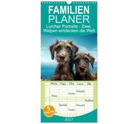 Familienplaner 2027 - Lurcher Portraits - Zwei Welpen entdecken die Welt mit 5 Spalten (Wandkalender, 21 x 45 cm) CALVENDO: Eine bezaubernde Reise ins Reich der Fantasie, nicht nur für Kinder