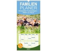 Familienplaner 2027 - Verspielte Fuchswelpen - Allein zu Haus' mit 5 Spalten (Wandkalender, 21 x 45 cm) CALVENDO: Fuchswelpen entdecken die Welt
