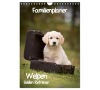 Familienplaner: Golden Retriever Welpen (Wandkalender 2026 DIN A4 hoch), CALVENDO Monatskalender: Dieser Familienplaner mit 5 Spalten wird Ihnen jeden Monat erneut ein Lächeln ins Gesicht zaubern.