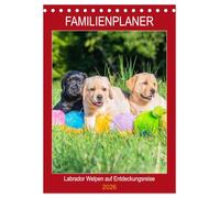 Familienplaner - Labrador Welpen entdecken die Welt (Tischkalender 2026 DIN A5 hoch), CALVENDO Monatskalender: Entzückende Labrador Babys - in Bildern ... von der Tierfotografin Sigrid Starick
