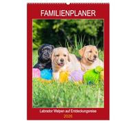 Familienplaner - Labrador Welpen entdecken die Welt (Wandkalender 2026 DIN A2 hoch), CALVENDO Monatskalender: Entzückende Labrador Babys - in Bildern festgehalten von der Tierfotografin Sigrid Starick