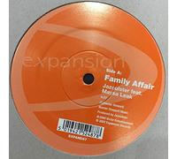 Family Affair / the Bottle [Vinilo]
