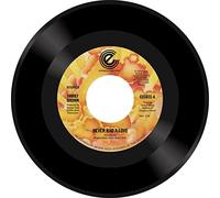 Family Brown - Never Had A Love [Vinilo]