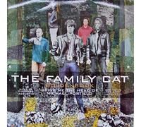 FAMILY CAT - GOLDENBOOK 7 INCH (7" VINYL 45) UK DEDICATED 1994