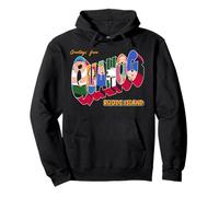 Family Guy Greetings from Quahog Tourist Souvenir Cartoon Sudadera con Capucha