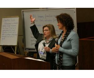 Family Law Disk 2: Preparing Your Client for a Court-Ordered Custody Mediation or Evaluation