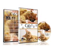 Family Pet DVD - Cat TV - Entertain your Pets with Stimulating Images of Cute Little Animals with Natural Sounds