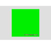 Famous Party Album (Vinyl) 12" Album (Importación USA)