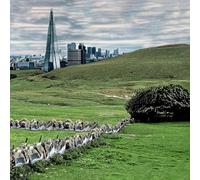 Famous - The Valley/England EP [VINYL] [Vinilo]