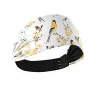 famyily Beauty American Goldfinch Birds - Diadema atlética antideslizante para mujer, bandas elásticas anchas para el pelo de las mujeres, para gimnasio, ciclismo, baloncesto, maquillaje, colorido