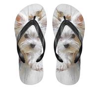 famyily Yellow Hair Bunny Anime Maltese Dog 3D - Sandalias de goma con apoyo para mujer para yoga, Perro maltés 3D, X-Small X-Narrow