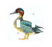 Fanciful Duck - Placas de cubierta para interruptor de luz, diseño colorido inspirado en la naturaleza para decoración del hogar, placas de pared termoplásticas, doble palanca de tamaño estándar