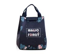 FANDARE Bolsa de Enfriamiento Bolsas Porta Alimentos Bolsa Isotermica de Almuerzo Bolso Nevera Portatil Comida Termica Porta para Hombres Mujeres Playa Picnic Barbacoa Oficina Escuela Viaje Azul c