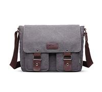 FANDARE Bolsos de Bandolera a Hombro de Lona Mensajero Bolso para Hombres/Mujeres Messenger Bolsa Bolsa de Viaje 7.9 Pulgadas Bolsa de iPad, para Trabajo,Viajar,Colegio,Shopper Gris