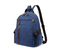 FANDARE Clásico Mochilas Escolares Lona Mochilas Grande Bolsas Escolares Instituto Mochila Universidad Hombre Mujer para Escuela Senderismo Universitarias Viajes y Actividades al Aire Libre Azul