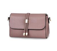 FANDARE Elegante Bolso Bandolera Mujer Bolso Movil Mujer Bolso de Hombro Bolso de Mano de Mujer Cruzado Bolso de Mensajero Bolso Movil Crossbody Bag de Cuero PU Rosa A