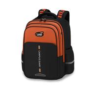 FANDARE Mochila Escolar Múltiples Compartimentos para Niños y Niñas Mochila Ligera de Poliéster Impermeable con Tirantes Anchos Acolchados Uso Diario para Primaria Marrón