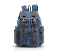 FANDARE Retro 15.6 Pulgadas Mochila para Portátil Portátil Portátil Al Aire Libre Viaje Trabajo Estudiante Senderismo Bolsas Escuela Daypack Lona, Azul, Medium, Mochila de Ocio