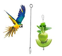 fanelod Pincho de frutas para pájaros, palo de acero inoxidable para pájaros, pincho de frutas y verduras, pincho para pájaros, loros para mascotas, soporte para alimentos de frutas para gallinas y